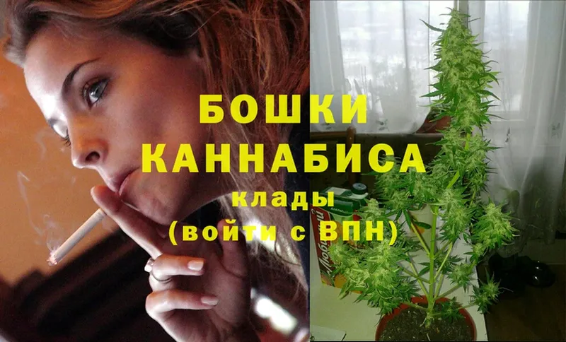 Бошки марихуана сатива  mega как войти  Серафимович 